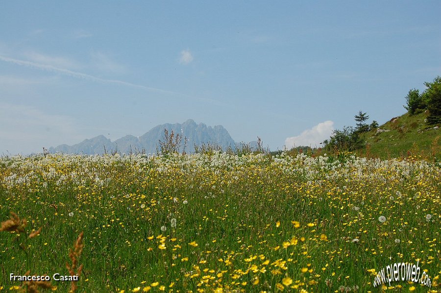 18 L'Alben salendo verso la cima di Tisa.jpg